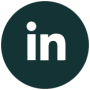 Icona linkedin